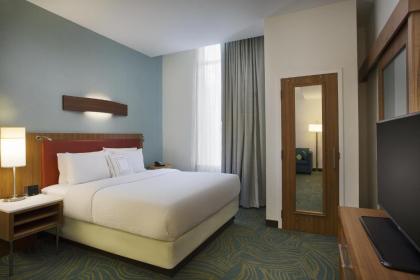 SpringHill Suites by Marriott Houston Downtown/Convention Center - image 19