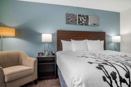 Sleep Inn & Suites near Westchase - image 12