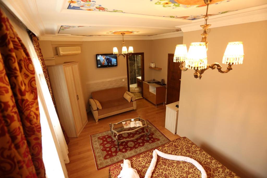 Hotel Tashkonak Istanbul - image 5