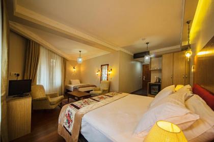 Hippodrome Hotel - image 11