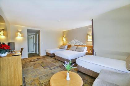 All Seasons Hotel - image 10