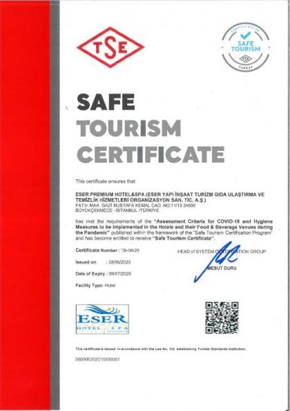 Eser Premium Hotel And Spa - image 14