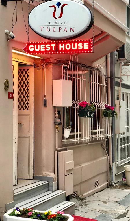 The House of Tulpan - image 6