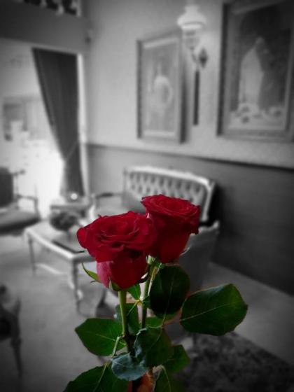 Elysion Hotel - image 16