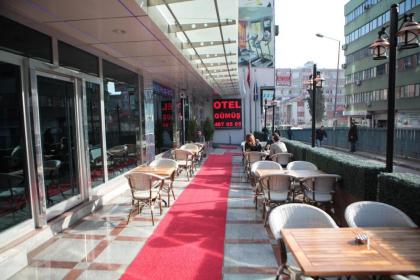 Gumus Palace Hotel - image 20