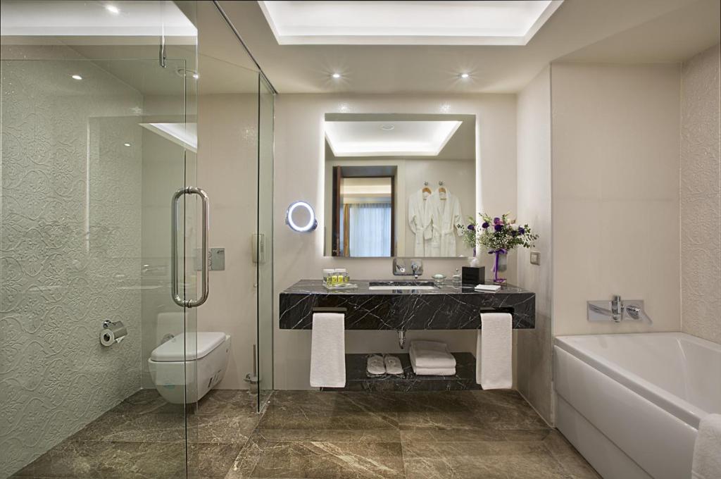 Dedeman Bostanci Istanbul Hotel & Convention Center - image 4