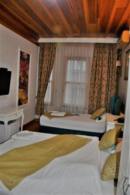 The Trip Hotel - image 20