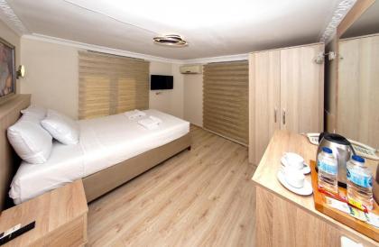 Le Safran Palace Hotel - image 17