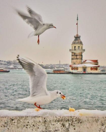 Hotel Taksim Home - image 19