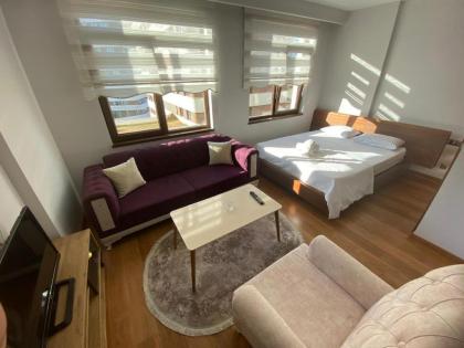 SABIHA GOKCEN HOtEL u0130StANBUL HOUSES
