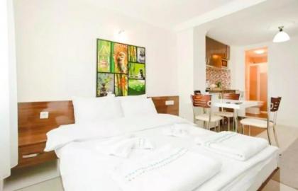 Sultanahmet Center View Apart Hotel - image 4