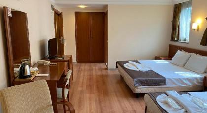 TRİADA HOTEL GAYRETTEPE - image 15