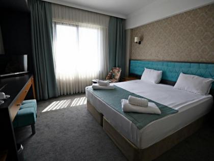 Continenius Airport Hotel - image 18