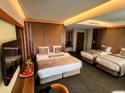 THE PARK HOTEL - image 30