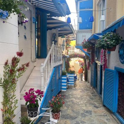 MAVI PALAS HOTEL - image 7