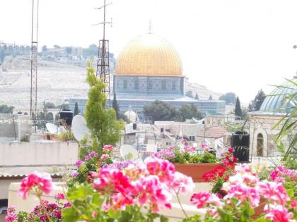 Hashimi Hotel - image 5