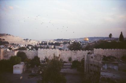 Holy Land Hotel - image 2
