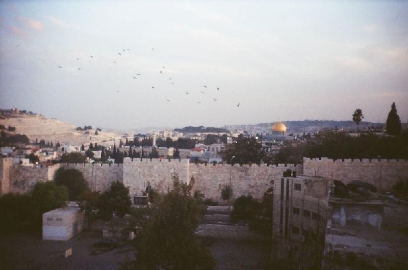 Holy Land Hotel - image 2