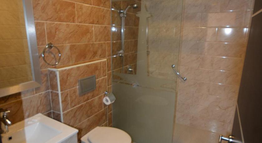 New Metropole Hotel - image 2