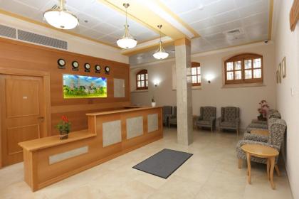Sergei Palace Hotel - image 12