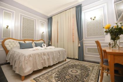 Sergei Palace Hotel - image 17