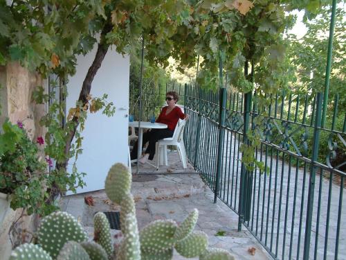 Avissar house - image 6