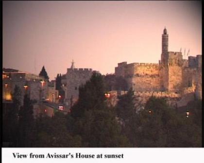 Avissar house - image 8