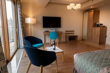Ambassador Boutique Hotel - image 9