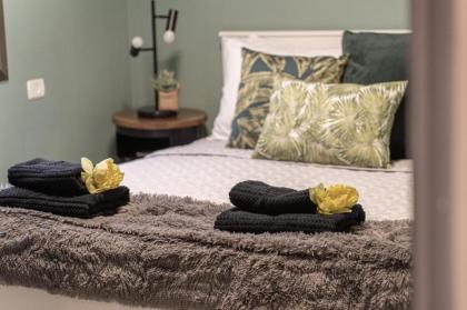 Renovated 2 BR with 2 BTH front Mamilla Mall - image 29