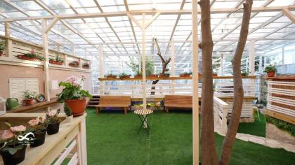 Mamila space - image 23