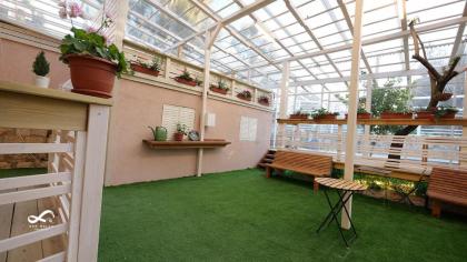 Mamila space - image 30