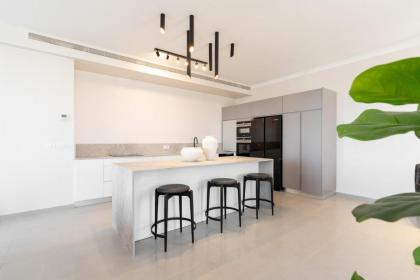 The Penthouse Of Haneviim Court 4BDM - image 25