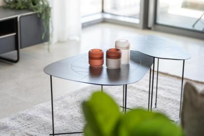 Savyon View Tower - Isrentals - image 22