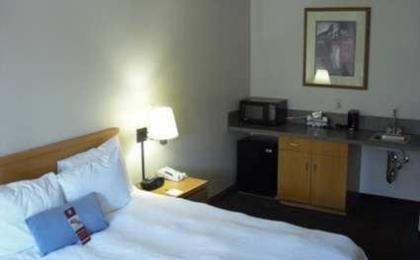 Hampton Inn By Hilton Las Vegas/Summerlin - image 3