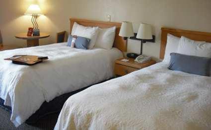 Hampton Inn By Hilton Las Vegas/Summerlin - image 4