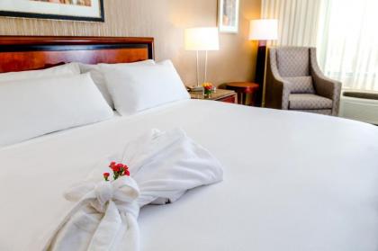 DoubleTree By Hilton Club Las Vegas Airport - image 16