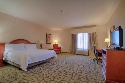 Hilton Garden Inn Las Vegas Strip South - image 16