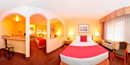 Mardi Gras Hotel & Casino - image 12