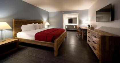 Thunderbird Hotel - image 15