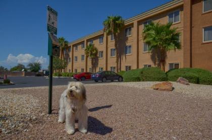 Holiday Inn Express Las Vegas-Nellis - image 18