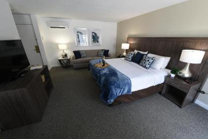 Serene Vegas Boutique Hotel - image 16