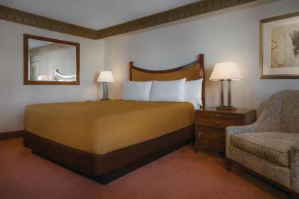 Circus Circus Hotel Casino & Theme Park - image 11