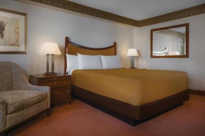 Circus Circus Hotel Casino & Theme Park - image 15