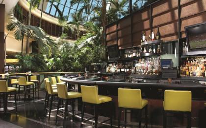 The Mirage - image 13