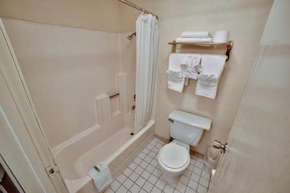 Hotel Galaxy - image 8