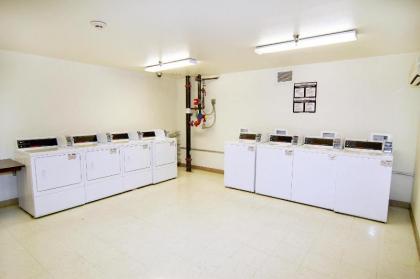 Siegel Select Flamingo - image 5