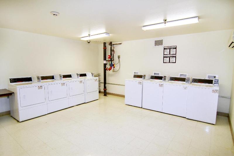 Siegel Select Flamingo - image 5
