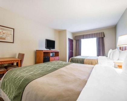 Comfort Inn And Suites - image 10