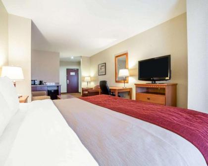 Comfort Inn And Suites - image 13