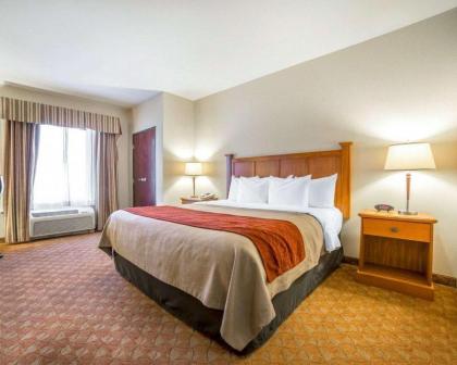 Comfort Inn And Suites - image 15